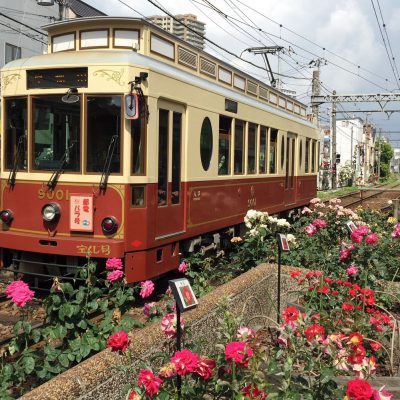 区内沿線の花壇、140種13,000株のバラで街を明るく保つ