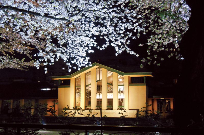 ライトアップされた夜桜と建物を鑑賞できるのはこの時季だけ。夜桜見学会の日時は、HPで要確認。